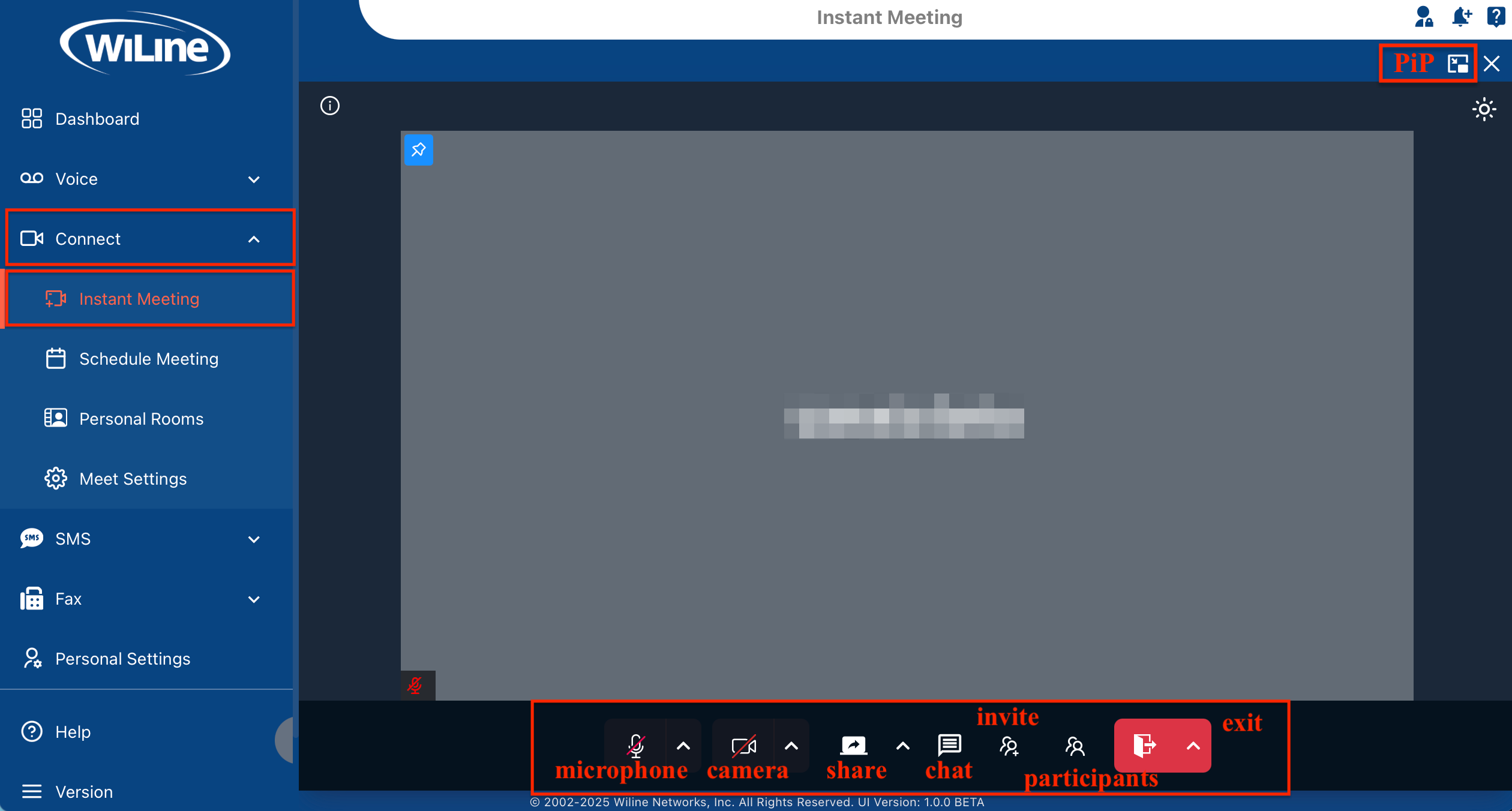 Meeting Controls Overview